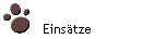 Eins�tze