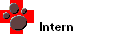 Intern