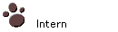 Intern
