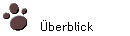 �berblick